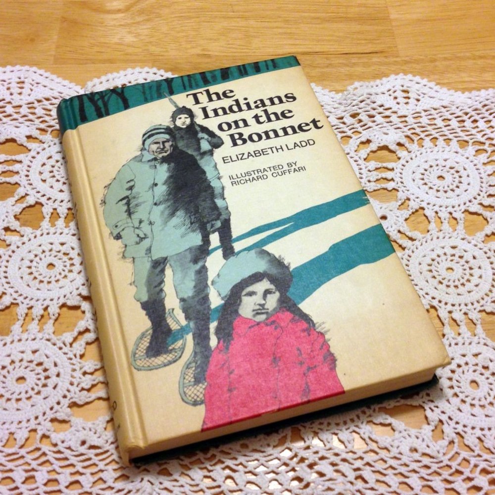 Vintage book decor, The Indians On The Bonnet